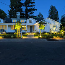 twin trees flanking path to front door