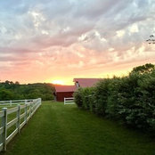 Marcia Boley's photo