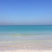 Fatma Al Nuaimi's photo