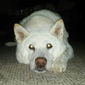 Jennifer Park's photo