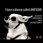 Dave Newton's photo