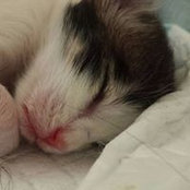 Lorena Carravieri's photo