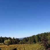 Jenna Gedney's photo