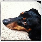 Kristi Lasiewicz's photo