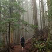 Trevor Halvorson's photo