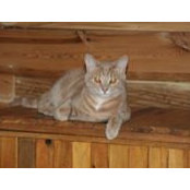 Jocelyne Aubry's photo
