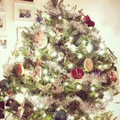 Sara DeViva's photo