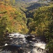 Deborah Buie's photo