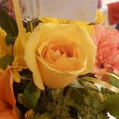 Jennifer Schwartz-Smith's photo
