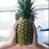 Alex Negranza's photo