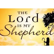 Sue Treadway Gregory's photo