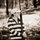 elizabeth_greene54
