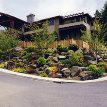 Landscape Ideas