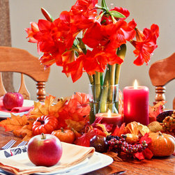 Amaryllis Gift Kits - Tabletop