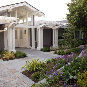 Tiburon Bay View