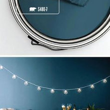 paint