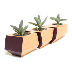 Boxcar Planter - Douglas Fir and Eggplant - Products