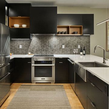 Contemporary Condominium Kitchen and Bathrooms