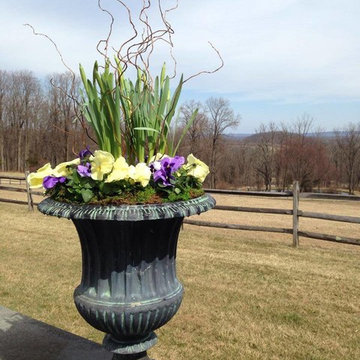 Container Gardens