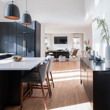 Modern Ranch Whole-Home Remodel & Addition | Arlington Heights, IL