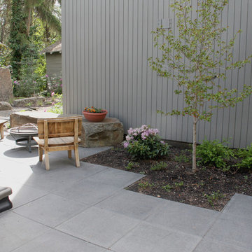 Cliff Park Modern