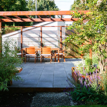 49th Ave (Design + Build)