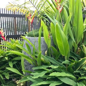 Indooroopilly Garden