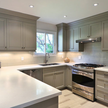 Kitchen Remodel - North York