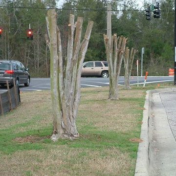 AIG Lawn and Landscape Pictures