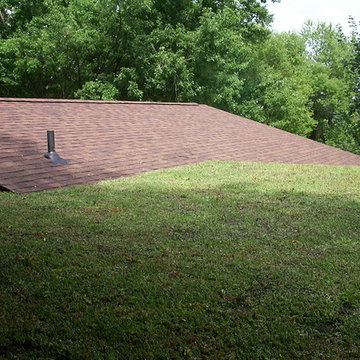 Sedum Roof