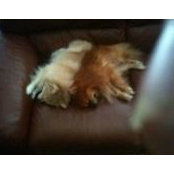 Jay McCormack's photo