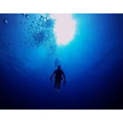 Alex Antosek's photo