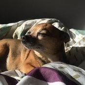 Foto von Kyme Mummery