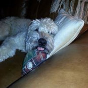 Linda Greiner's photo