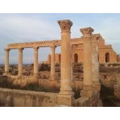 Ali Chaieb's photo