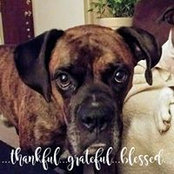 Kathy Laporta's photo