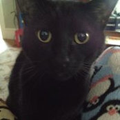 Laura Bridge's photo