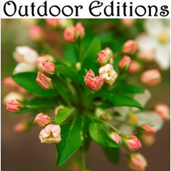 Outdoor Editions