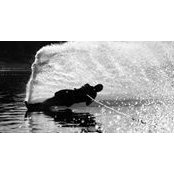 Todd Gardner's photo