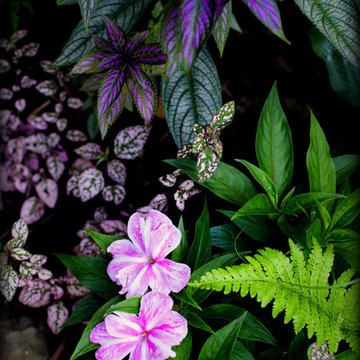 Landscaping Highlights