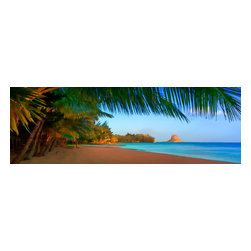 Douglas Page Photographic Arts - Beach At Chinaman's Hat, Canvas Giclee - Photographs