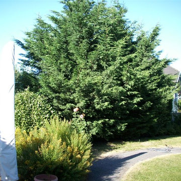 Parkähnlicher Hausgarten mit Badeteich