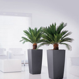 Modern Planter - Products