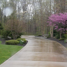 Frontyard