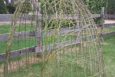 This is an example of a landscaping in Toronto.