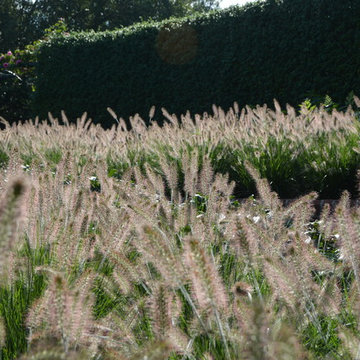 Large country garden