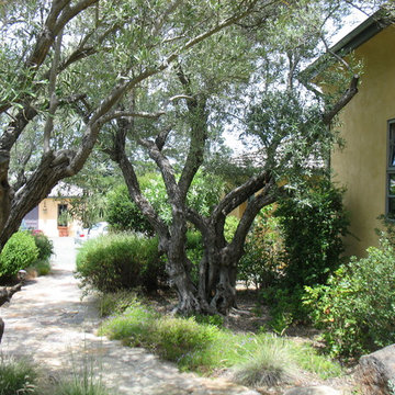 Napa Valley Tuscan