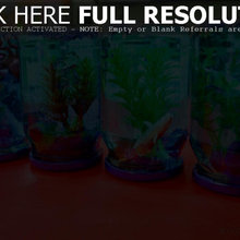 Wish List