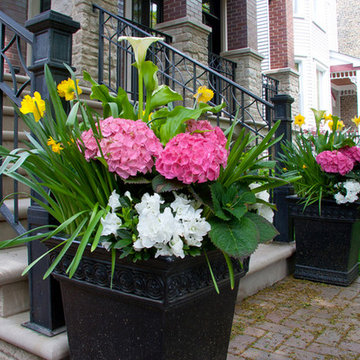 Window Boxes & Planters