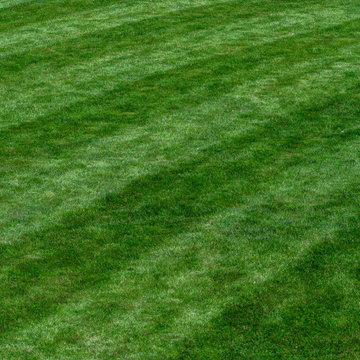 Calgary Lawn Services